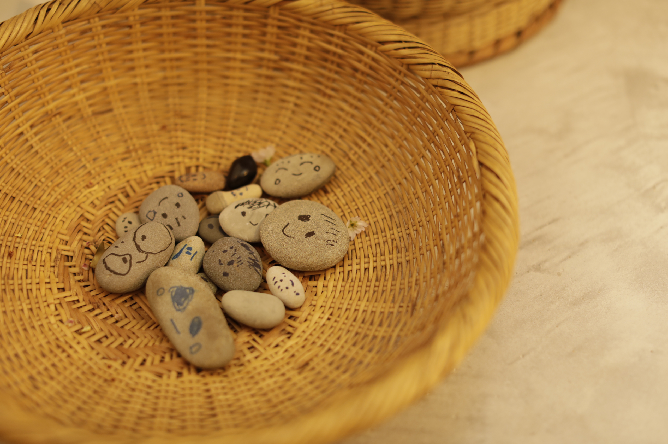 ていねいな暮らしとシロカの家電。