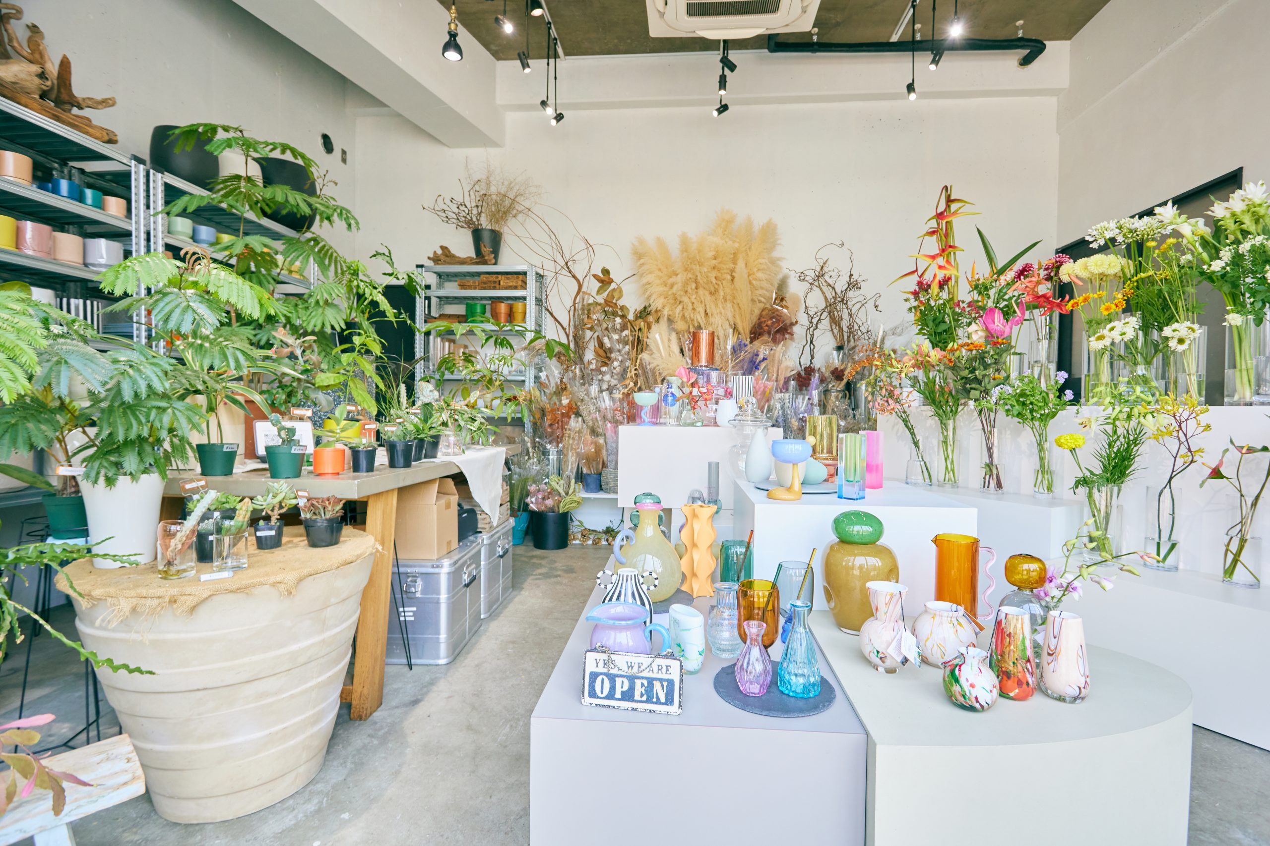 お花屋さんで広がる<br>シロカの<ruby>自然<rt>ボタニカル</rt></ruby>な風。