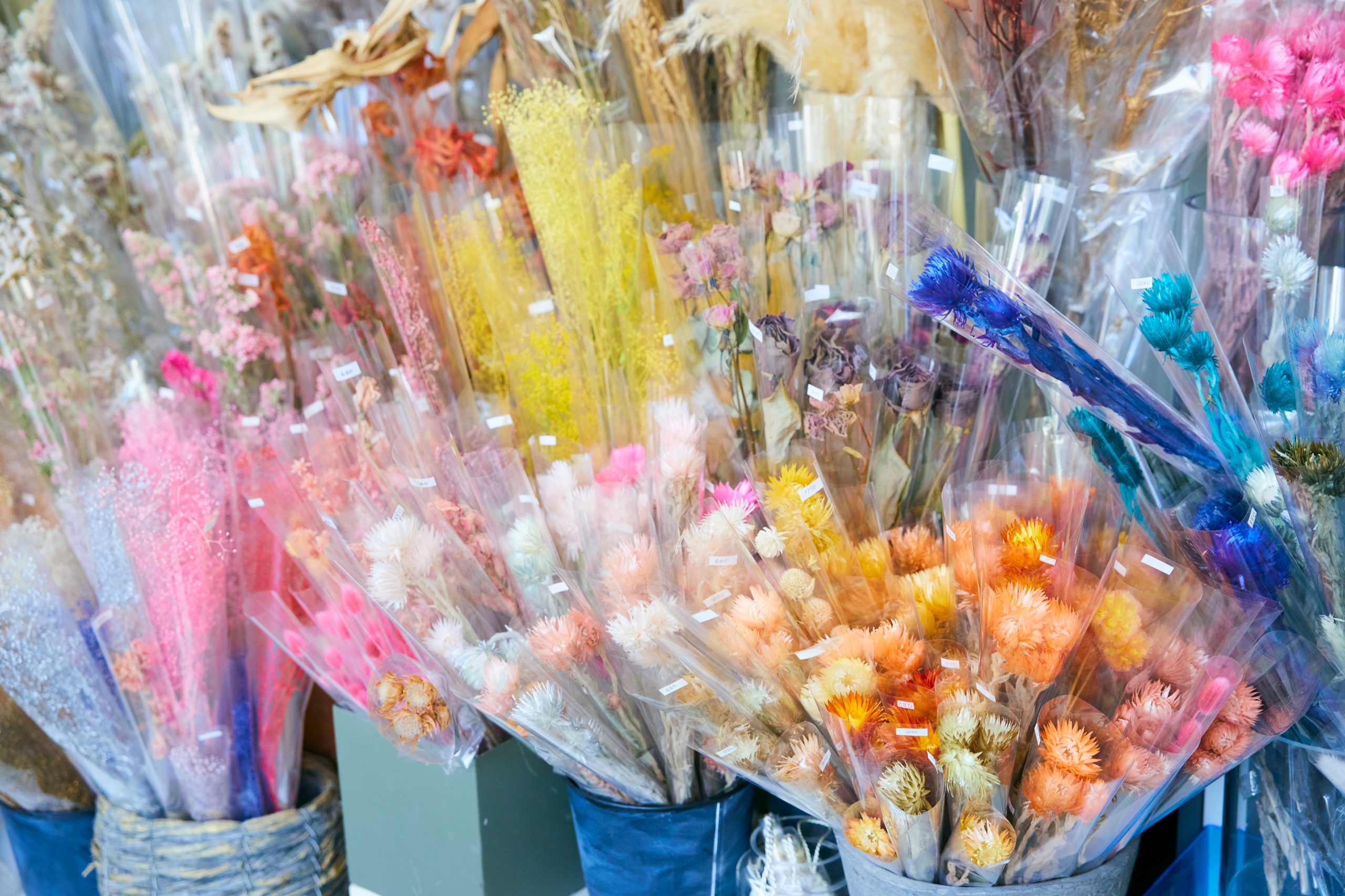 お花屋さんで広がる<br>シロカの<ruby>自然<rt>ボタニカル</rt></ruby>な風。