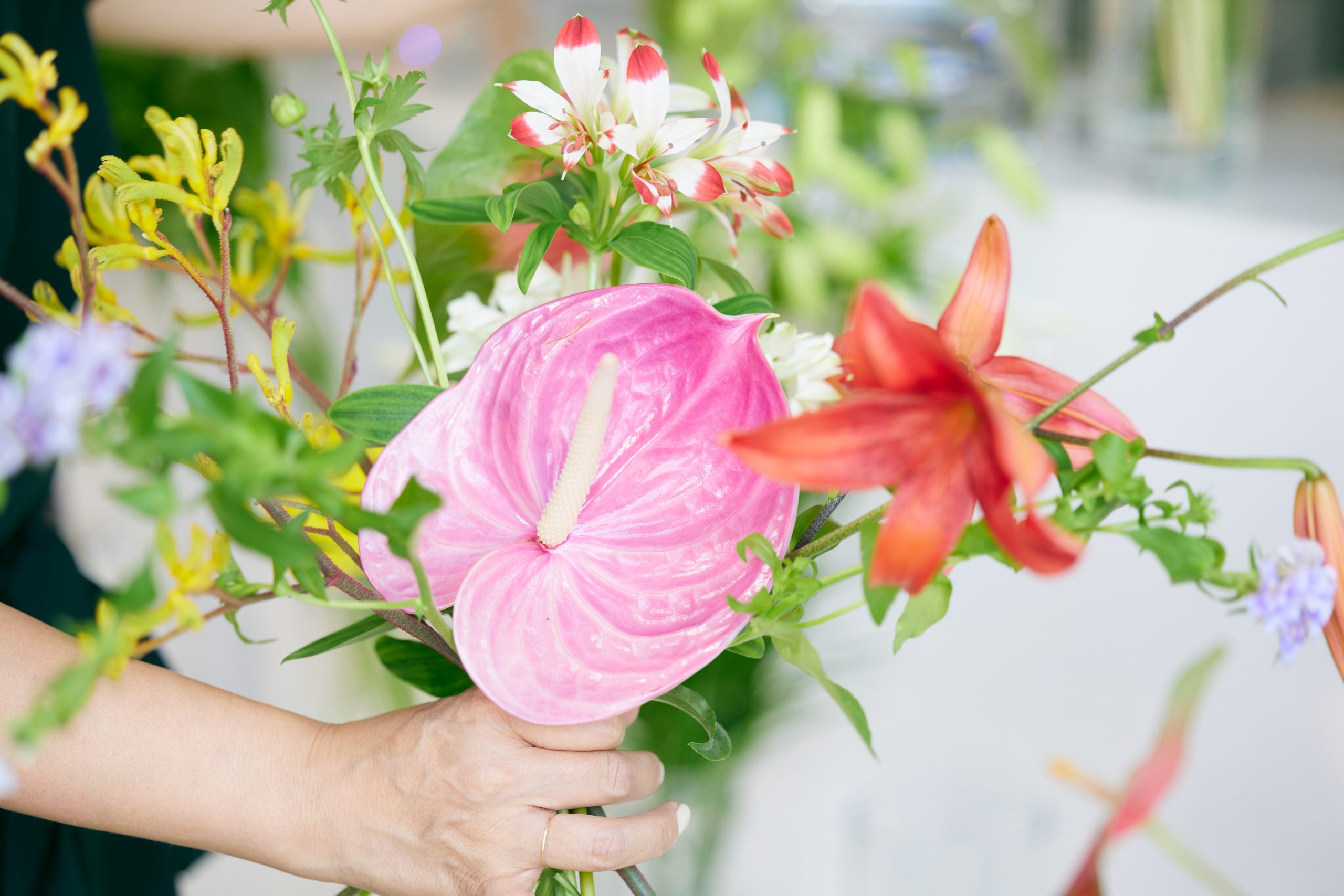 お花屋さんで広がる<br>シロカの<ruby>自然<rt>ボタニカル</rt></ruby>な風。