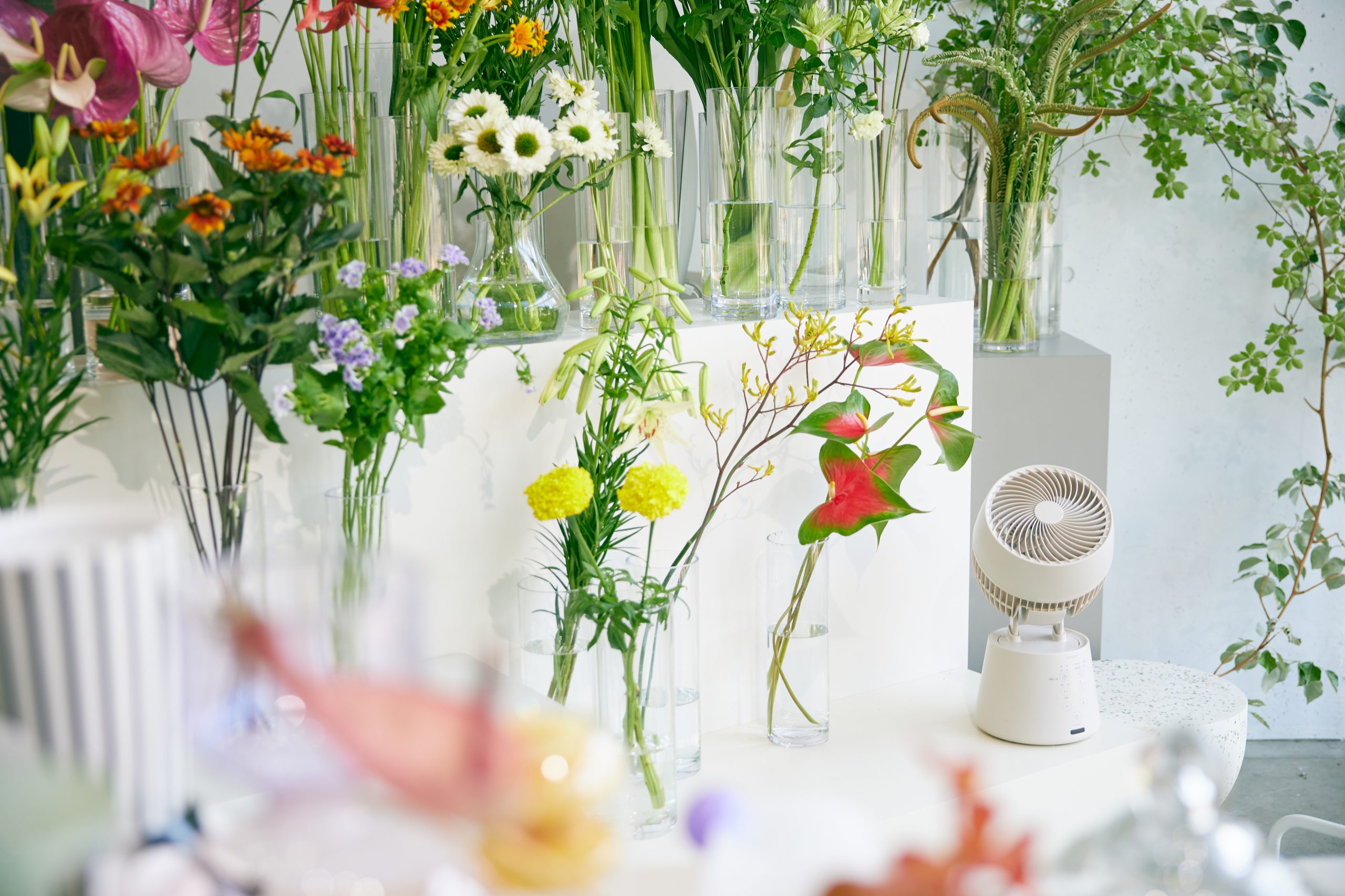 お花屋さんで広がる<br>シロカの<ruby>自然<rt>ボタニカル</rt></ruby>な風。